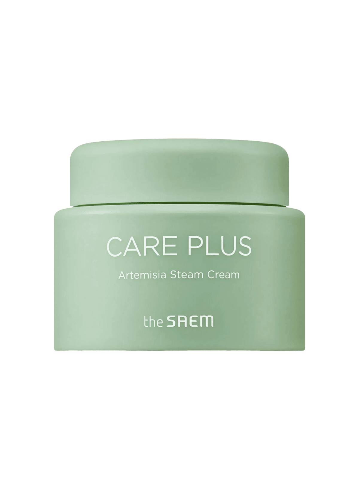 THE SAEM Care Plus Artemisia Steam Cream