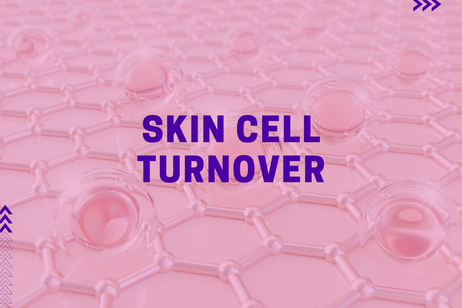 Skin cell turnover – So oft erneuert sich unsere Haut