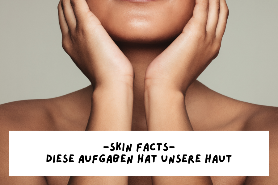 Skin facts – Diese Aufgaben hat unsere Haut
