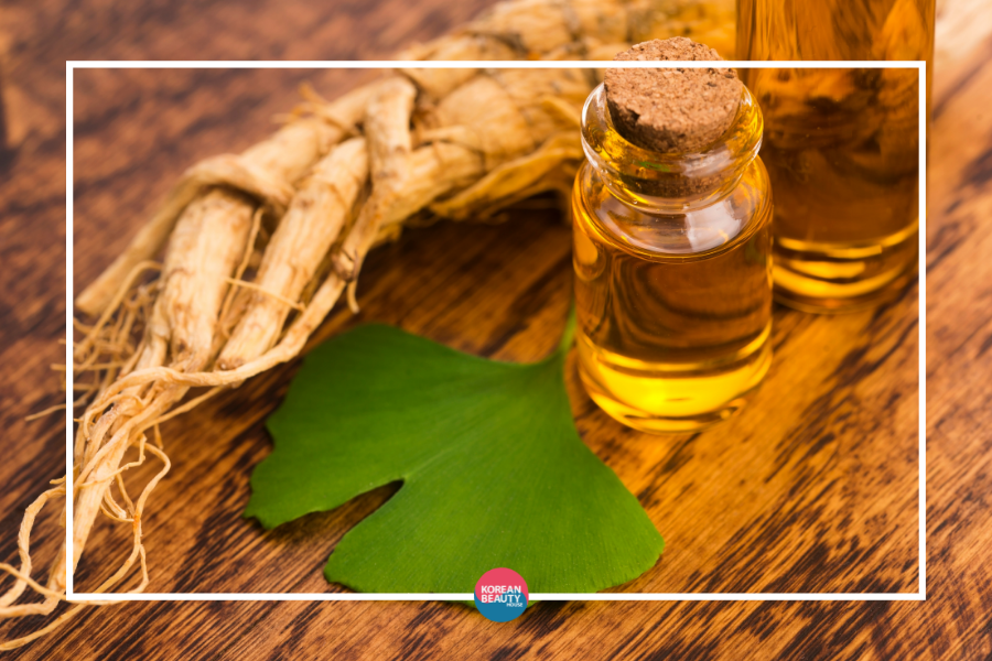 Beauty Power Pflanze Ginseng